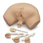 Prostate Inspection Model